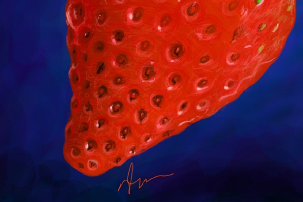 Strawberry - photoshop painting detail 2 by Nicole Barker