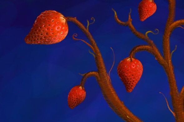 Strawberry - photoshop painting detail 3 by Nicole Barker